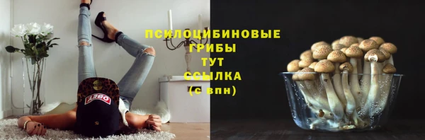СК Аркадак