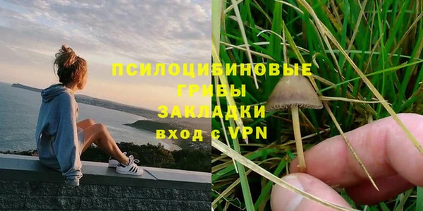 бошки Алексеевка
