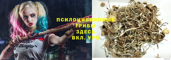 кокс Алзамай