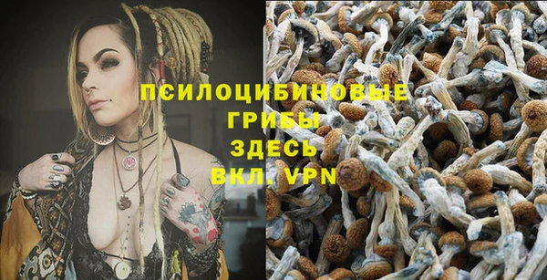 первитин Арсеньев