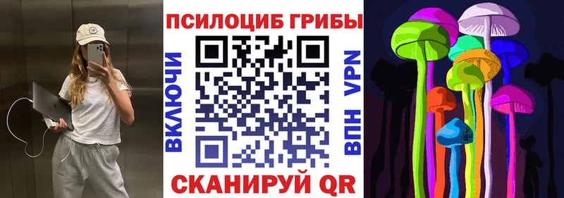 Галлюциногенные грибы мицелий  Елец 